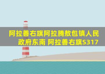 阿拉善右旗阿拉腾敖包镇人民政府东南 阿拉善右旗S317